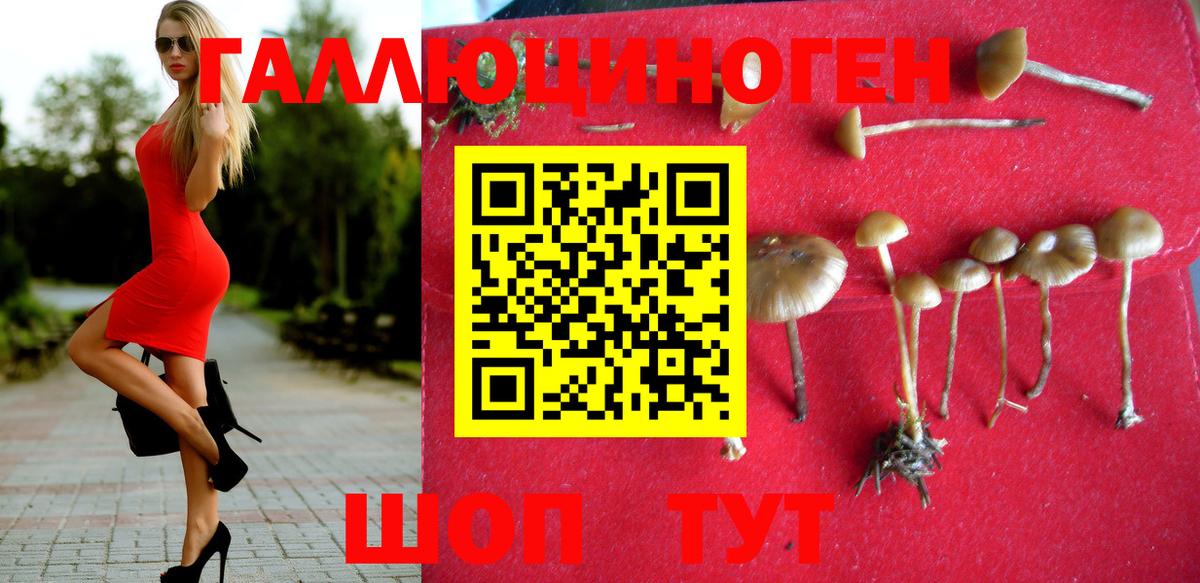 Псилоцибиновые грибы прущие грибы Златоуст